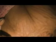 Una ninfómana que sacude su srxo gratis culo desnudo es penetrada